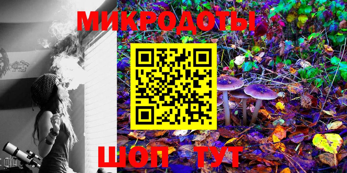 Кинель  Галлюциногенные грибы мухоморы  Вход с VPN  Галлюциногенные грибы Psilocybe 