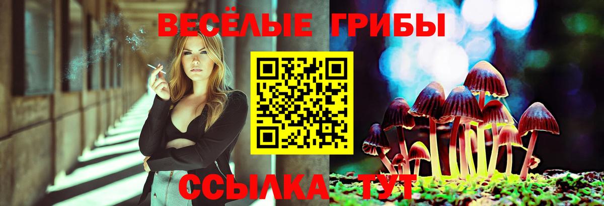 Галлюциногенные грибы Cubensis Кинель